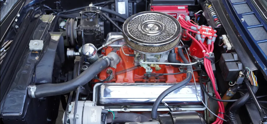 Iso rivolta ajijdyysxj8zfpoats8x4