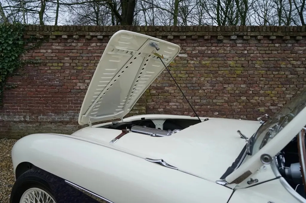 Austin healey 1004 bahi5csj7n4kcdedt5qky