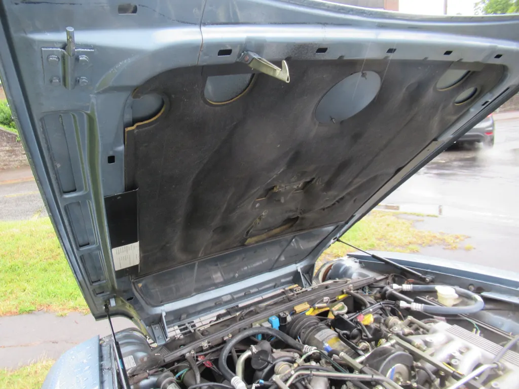 Jaguar xjs rgonas v4wo9z2p ikhxt