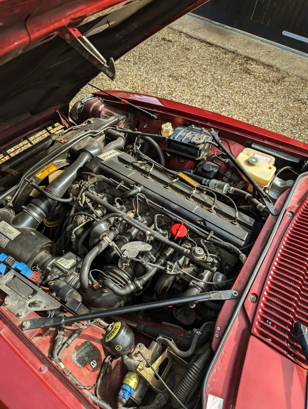Jaguar xjs zz7kakqirh74qilbxcbdw