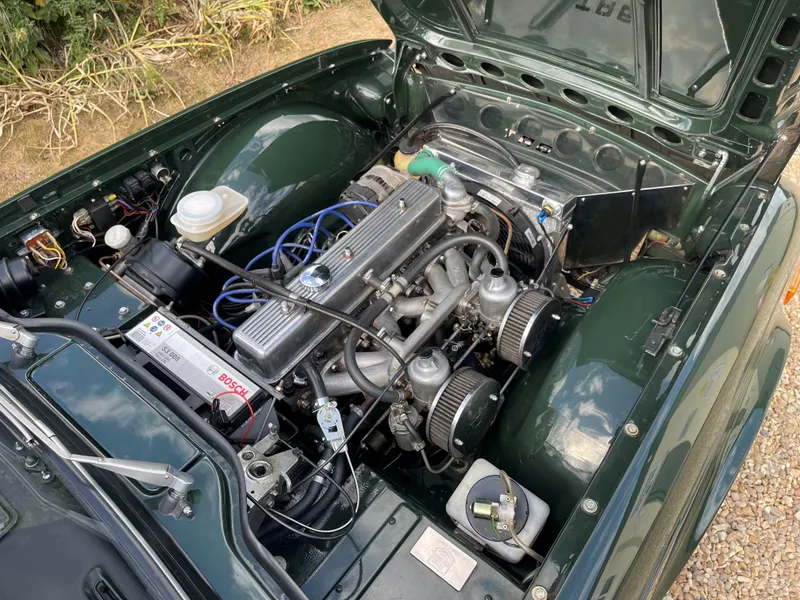Triumph tr6 i4fifc1cxixtha4xxthny