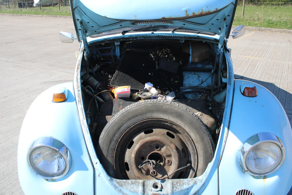 Volkswagen beetle 4ejzvxyxnzvl9rl7amttz