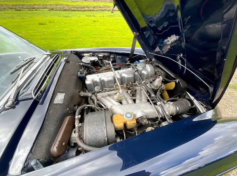 Mercedes benz 230sl f3815poymgf28n7pg7p8x