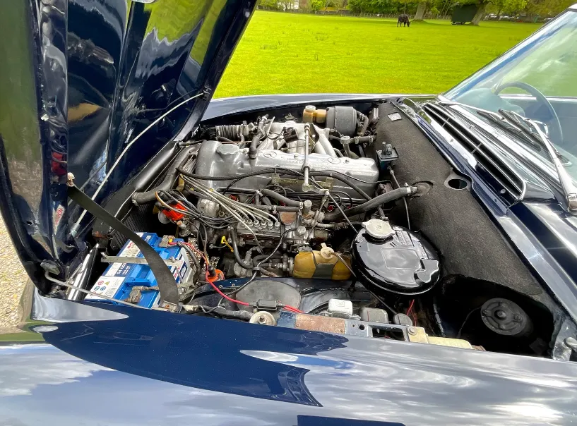 Mercedes benz 230sl jd5lqxxjbjzfjw8moguey