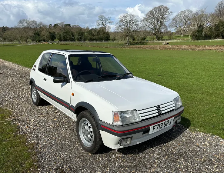 Peugeot 205 sgzntuza8j3d8lnjvbegq