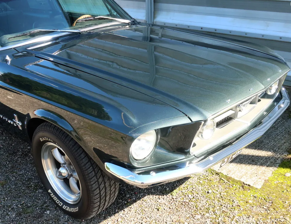 Ford mustang  mh7 qmkbo7ddcqpf62wq