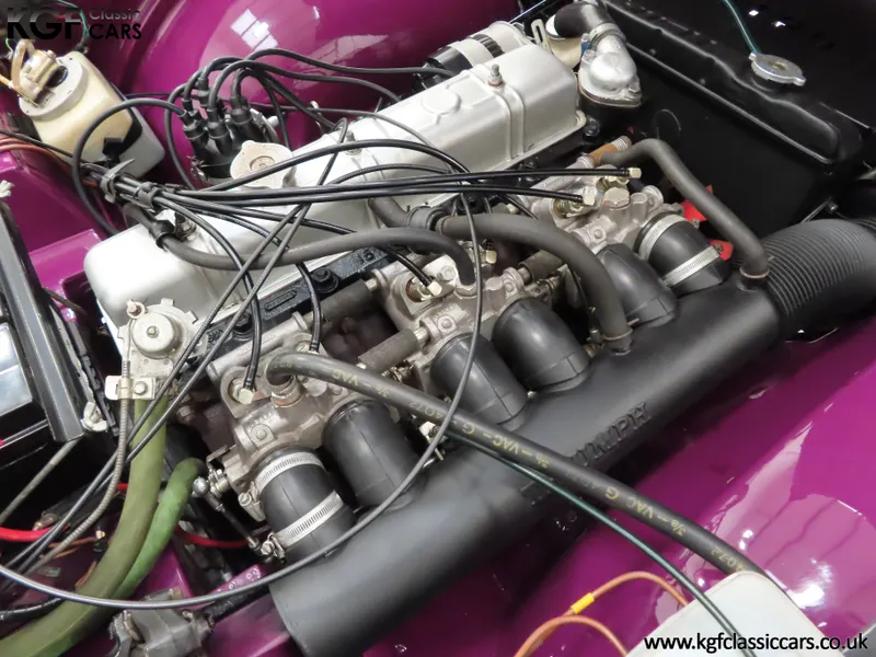 Triumph tr6 b09ry6c ftjdl6ogg7ule