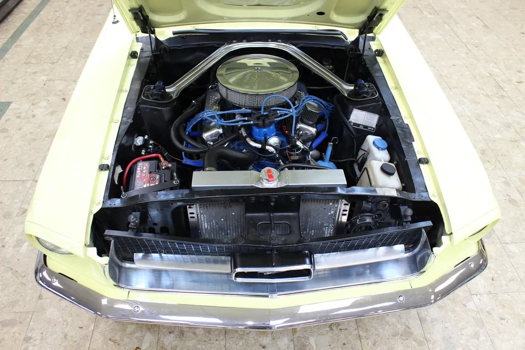 1967 ford  mustang coupe 289 v8 manual   restored   show winning  yqb7hecnmxsb7dr94ksfd