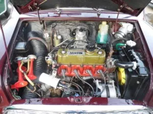 Austin mini ig1hun3jd3 phawpo2h56