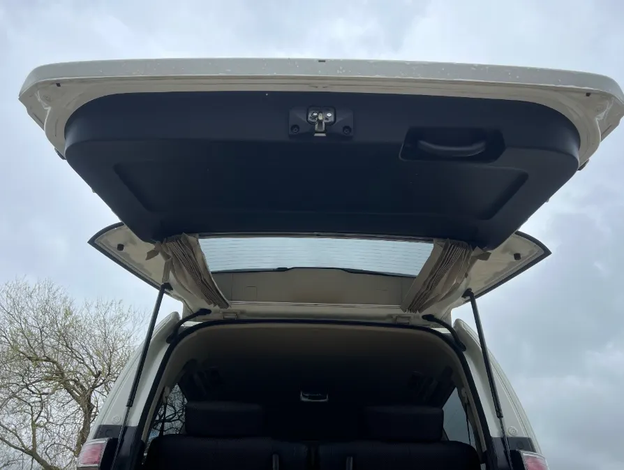 Nissan elgrand  ts9mewihilyjbccgx9evv