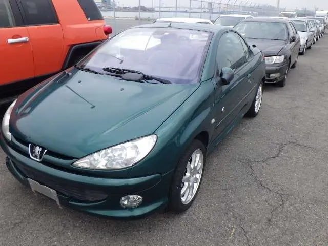Peugeot 206 pji6wtz  rewoixs4zy1e