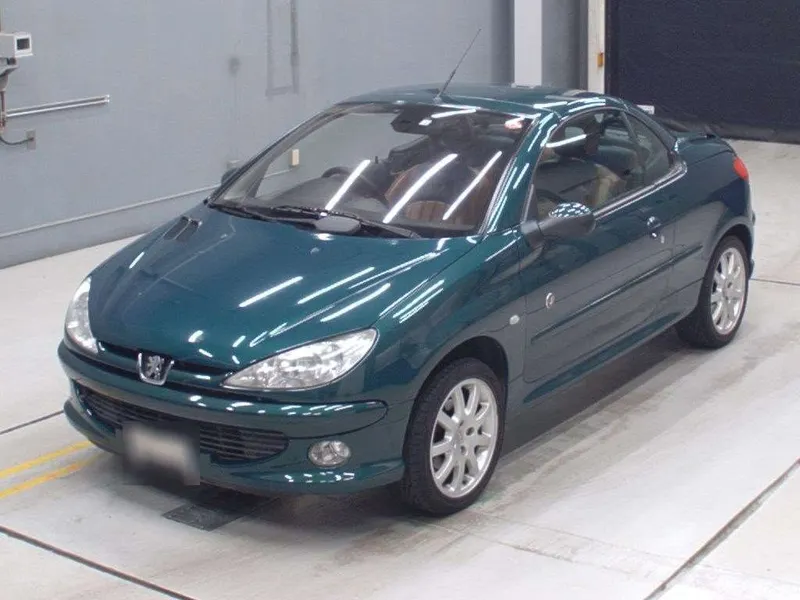 Peugeot 206 hmlwvj9wuoxhyzha8xts 