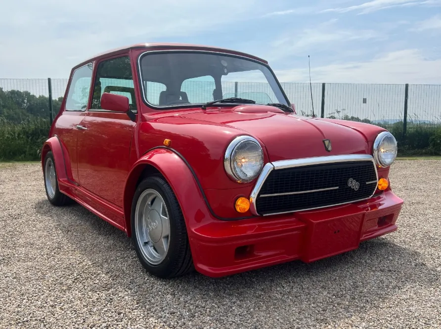 Rover mini 1ey9rnfk0atwqiyu7ygqv