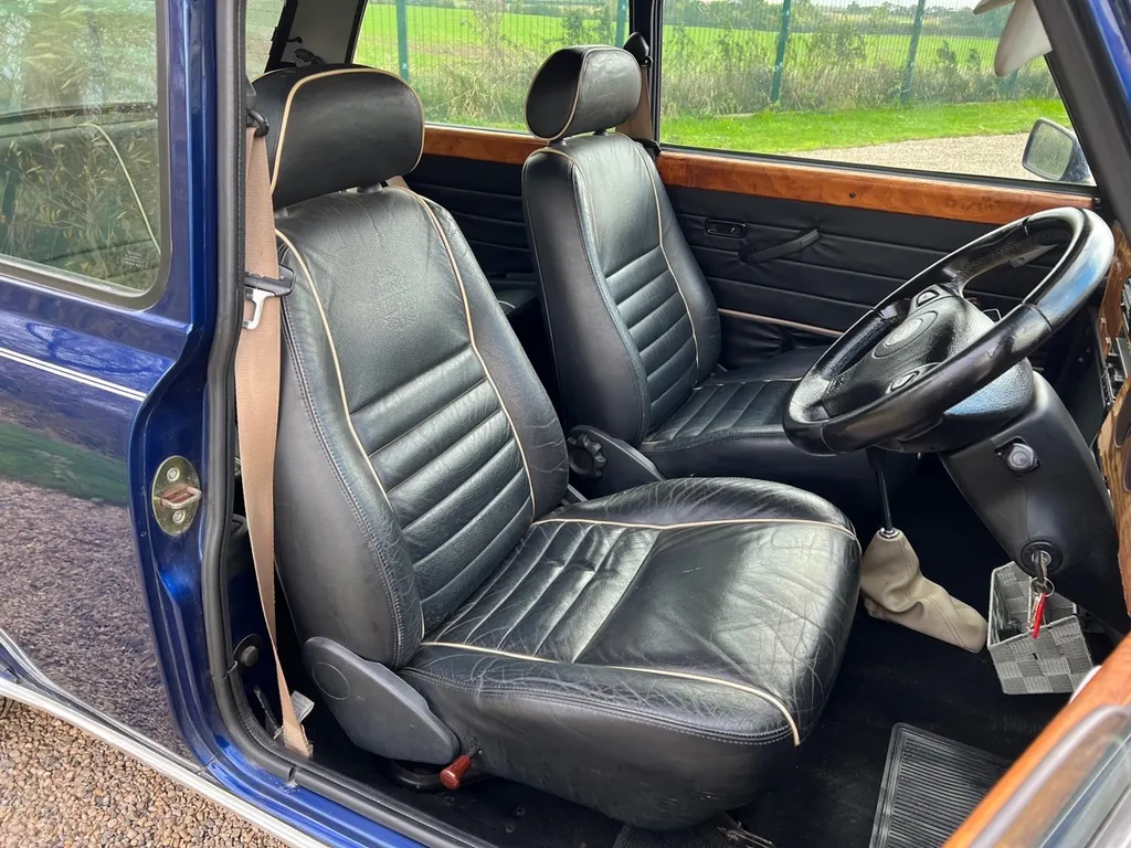 Rover mini  vodanocptbi2i7xbxjkx