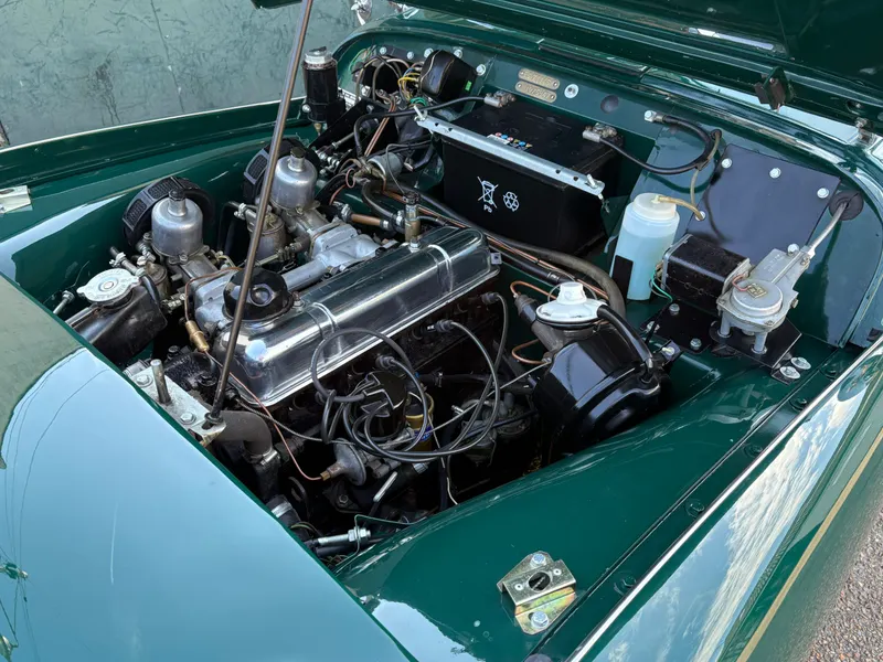 Triumph tr3a idf7kd7ehpzmcm7yvhzhb
