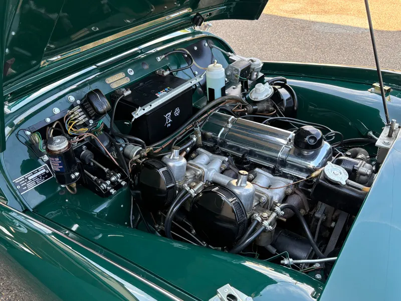 Triumph tr3a btdxxkgku0kjxxjptn5cc