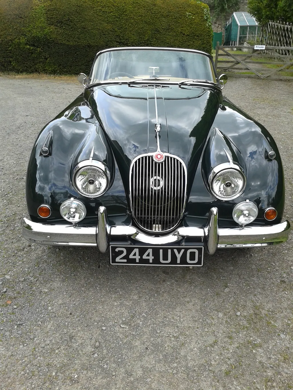 Jaguar xk150 rwy39oqdl2nxhvf6jzecl
