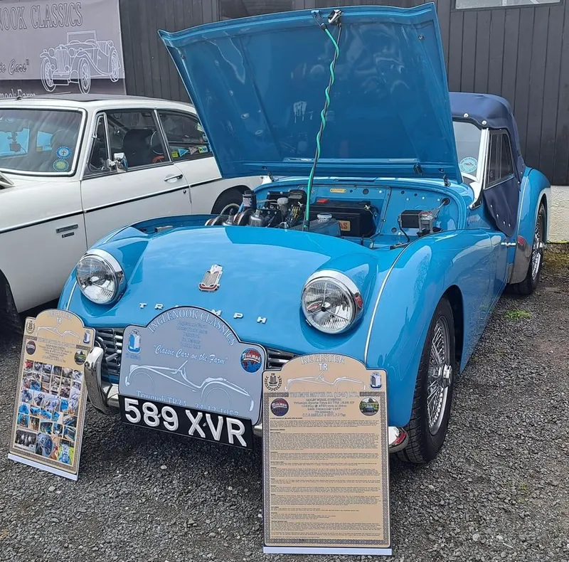 Triumph tr3a dvhsdzipl2otn f3av42g
