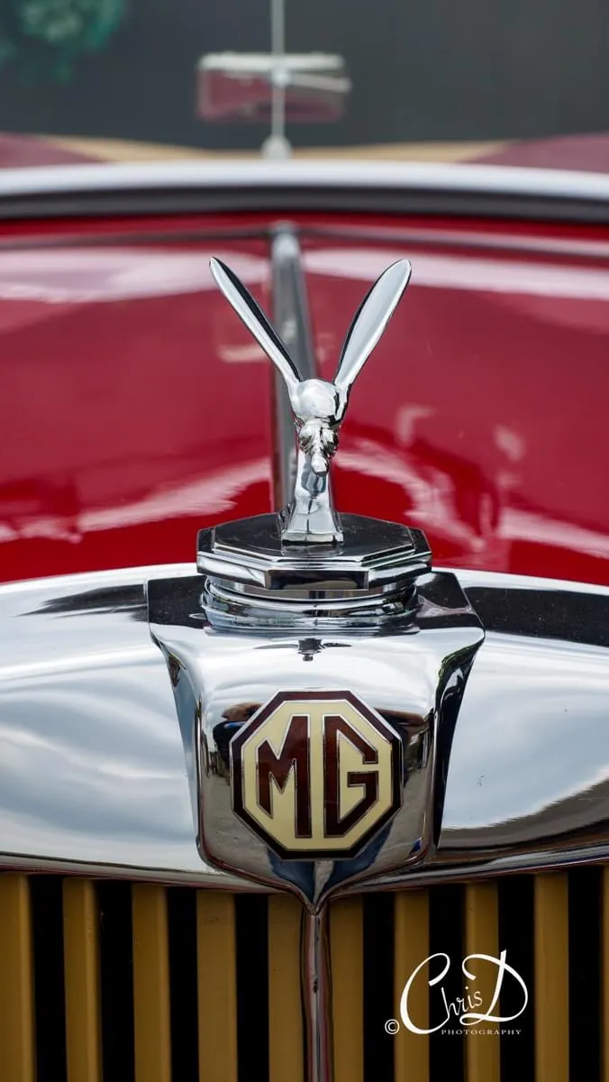 Mg tc 4julrzfu10d5kcrv1vt4o
