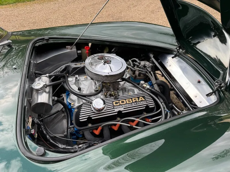 Ac cobra weew4wz8gzsgwccnrm0hn