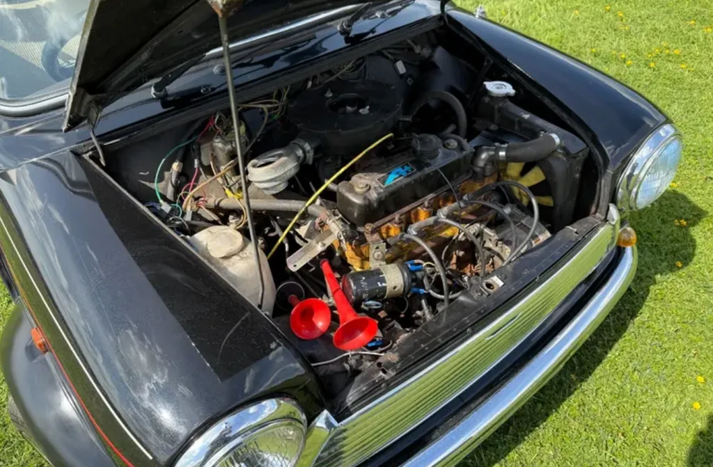 Austin mini ealc e507g3xhxpixglso