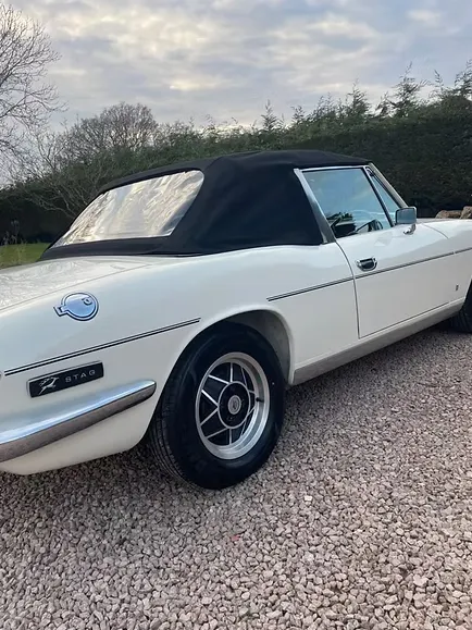 Triumph stag fne hmxq2wpsoxal6oxjt