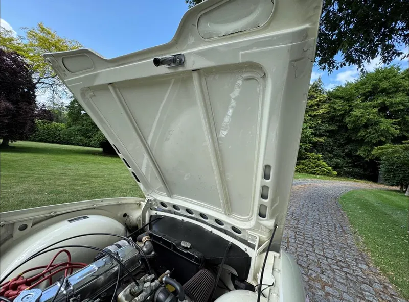 Triumph tr6 zfj0wb0trevmuw8 uyn5t