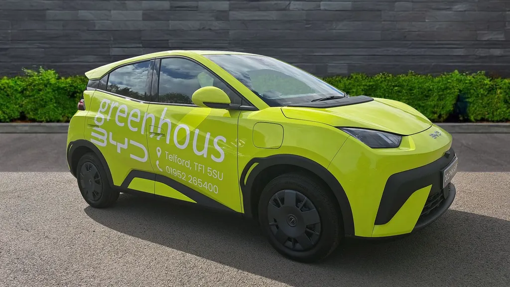 Byd Dolphin Surf Image 1