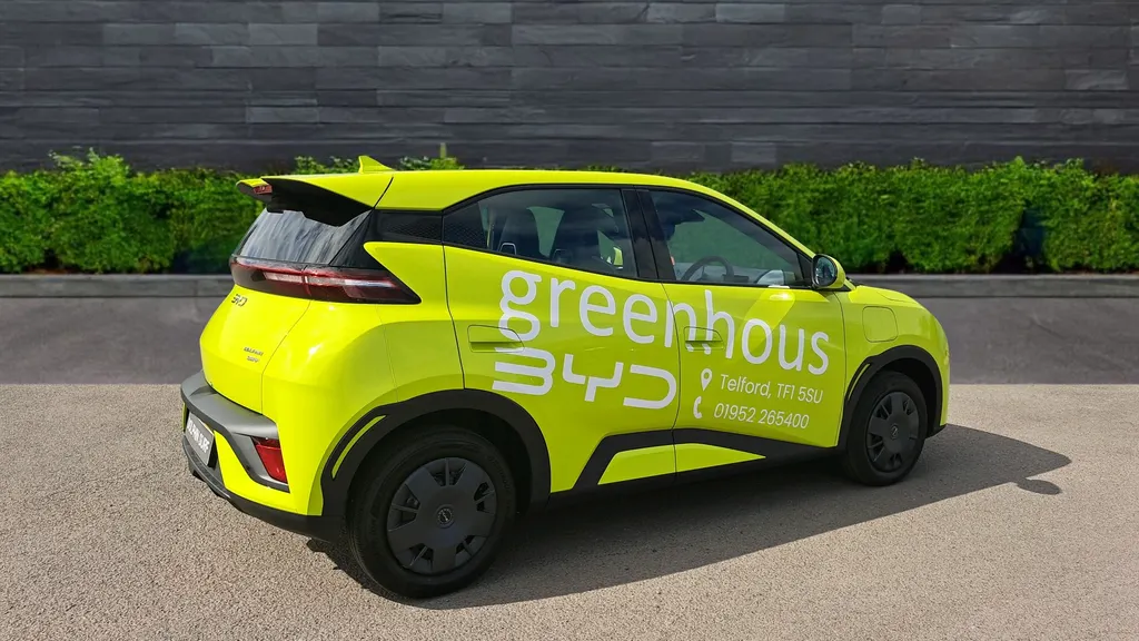 Byd Dolphin Surf Image 3