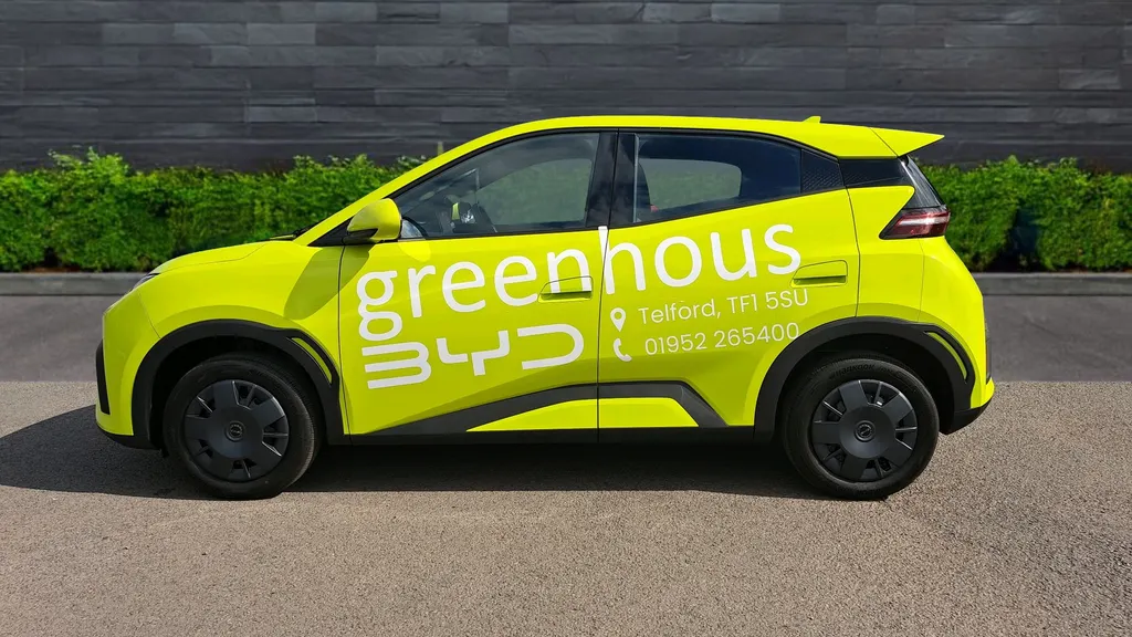 Byd Dolphin Surf Image 4