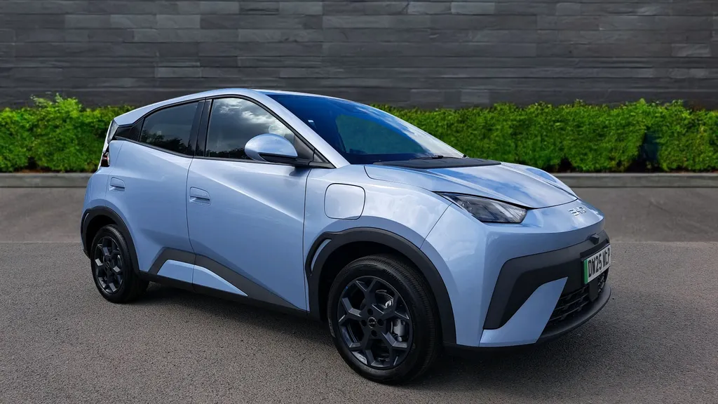 Byd Dolphin Surf Image 1