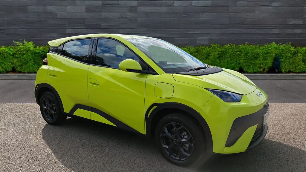 Byd Dolphin Surf Image 1