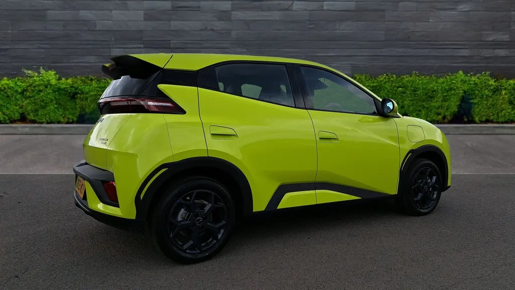 Byd Dolphin Surf Image 3