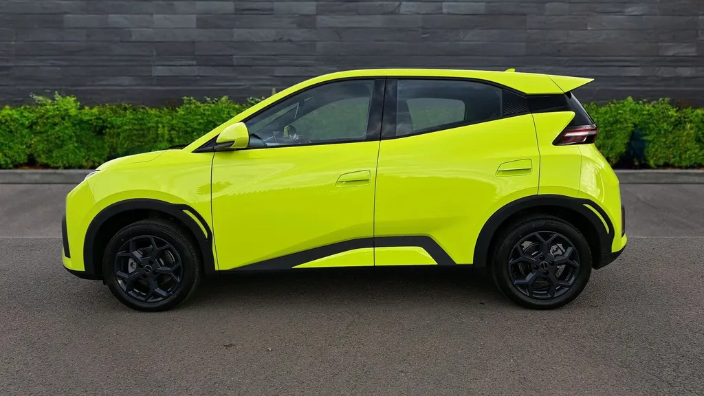 Byd Dolphin Surf Image 4