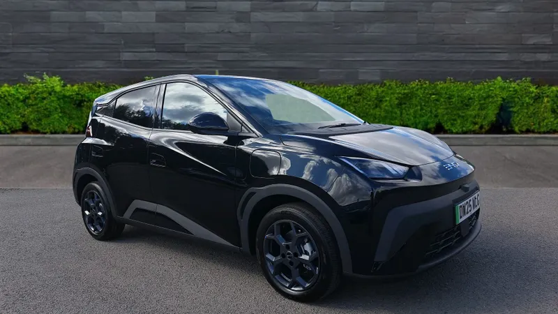 Byd Dolphin Surf Image 1