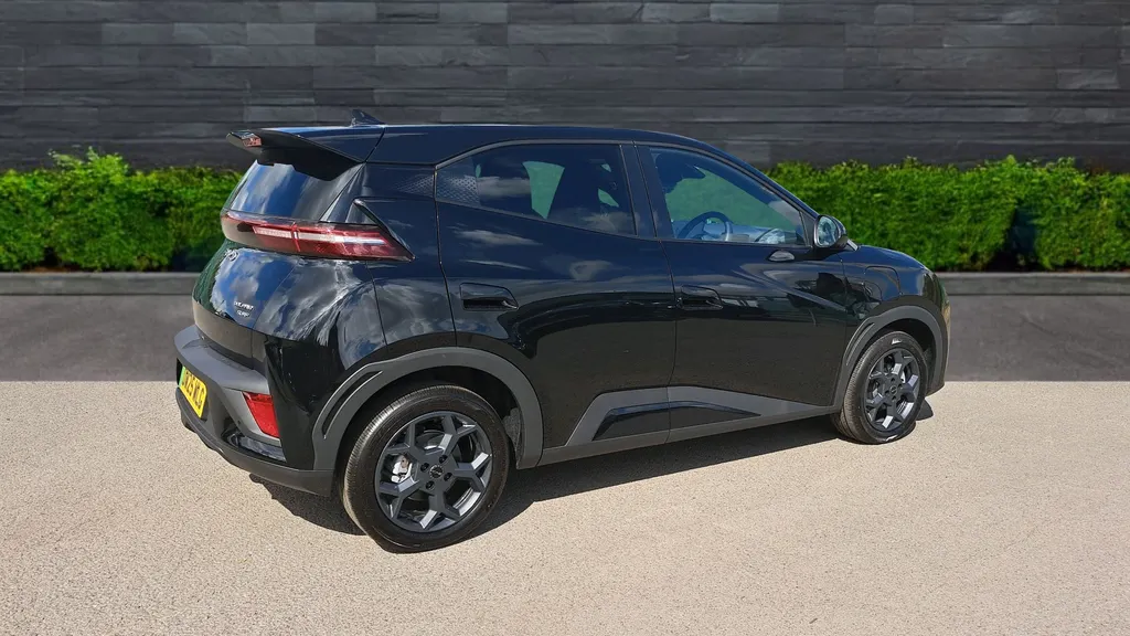 Byd Dolphin Surf Image 3