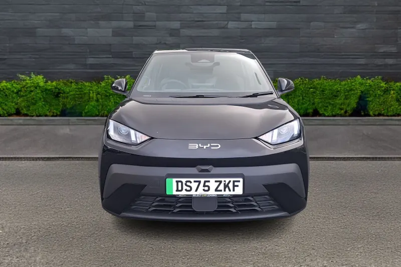 2025 Byd Dolphin Surf