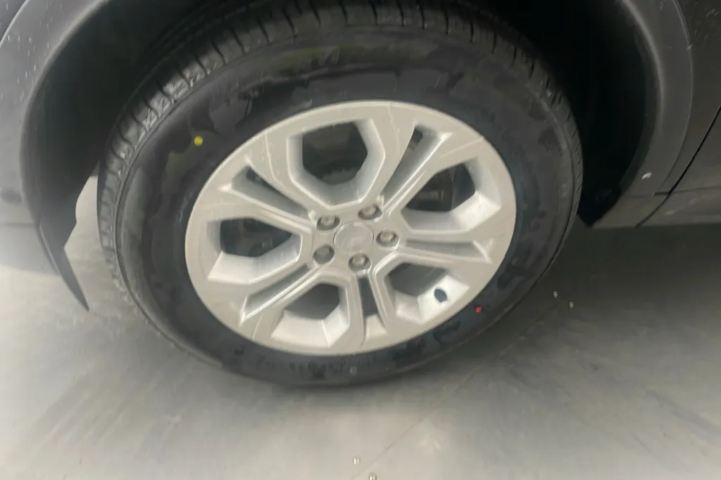 Image 7