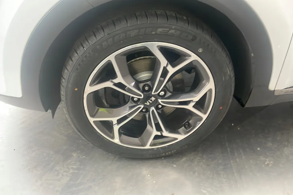 Image 8