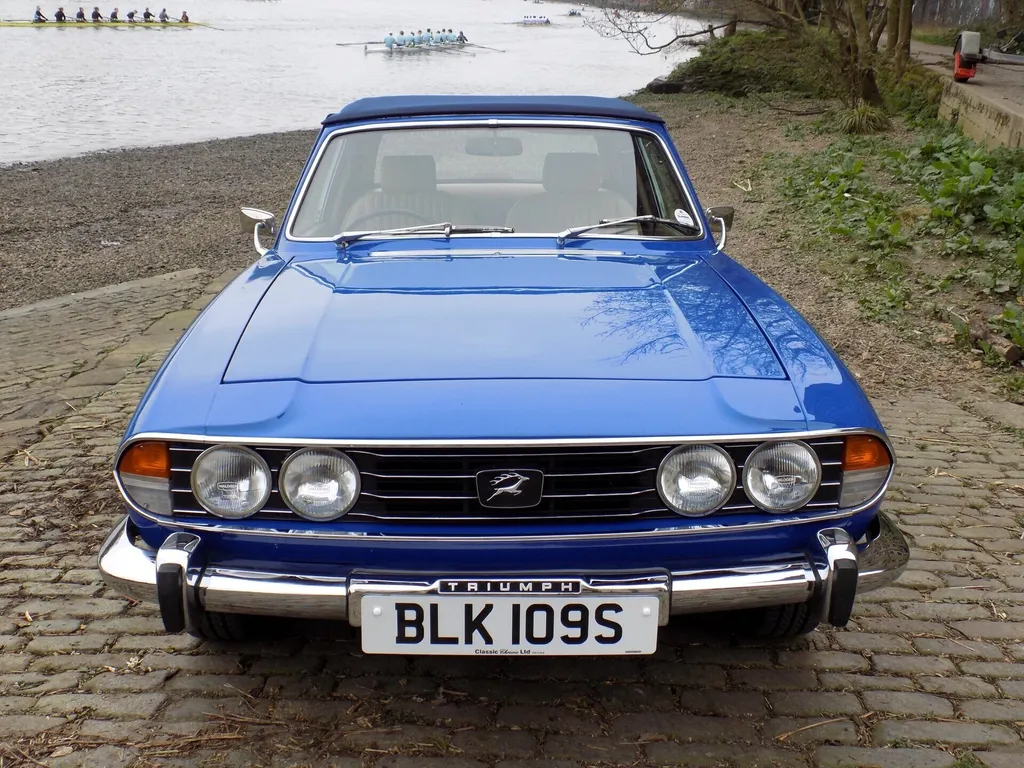 81