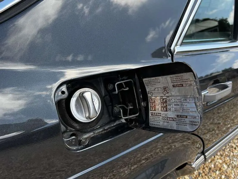 41