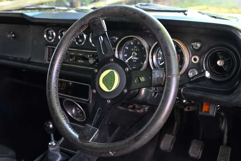 81