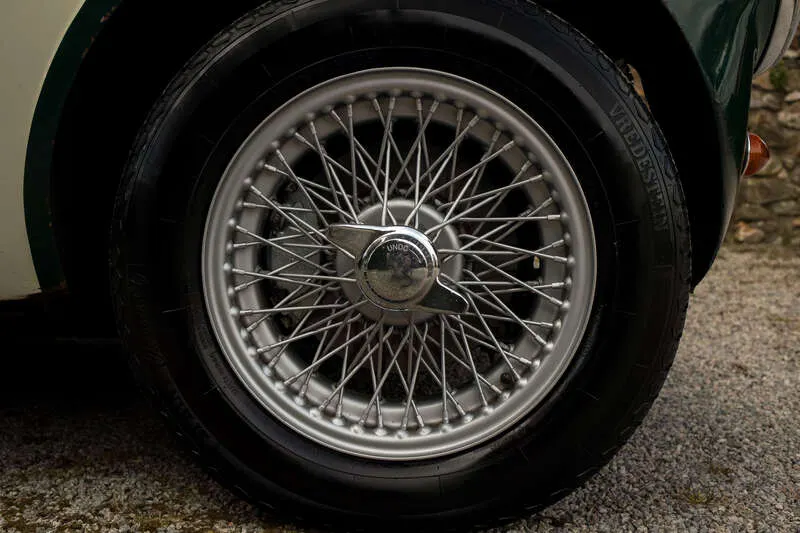 31