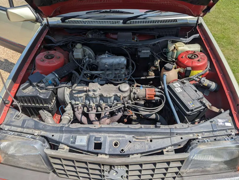 28