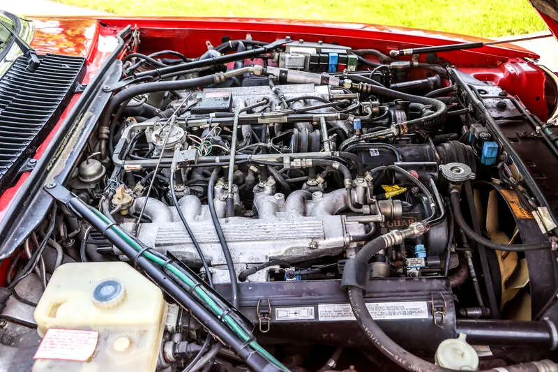 44