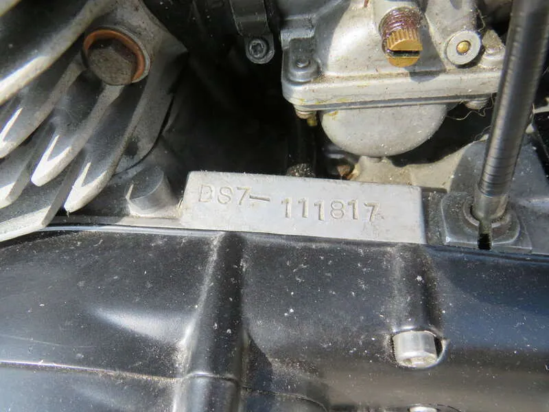 33