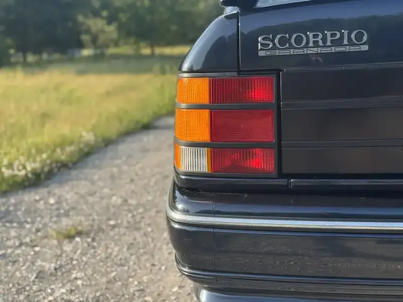29