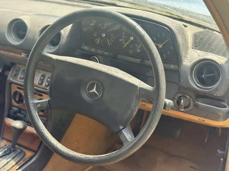 51