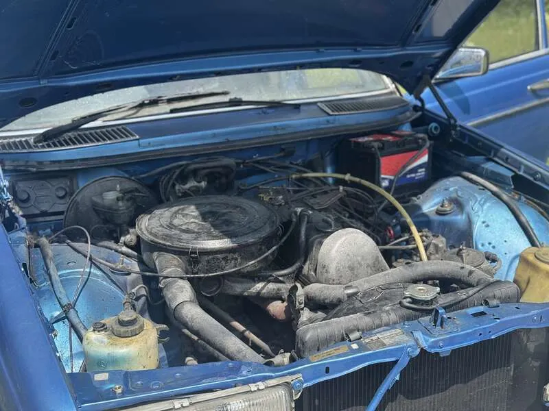 65