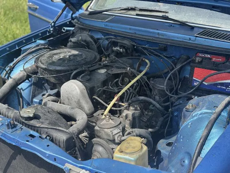 66